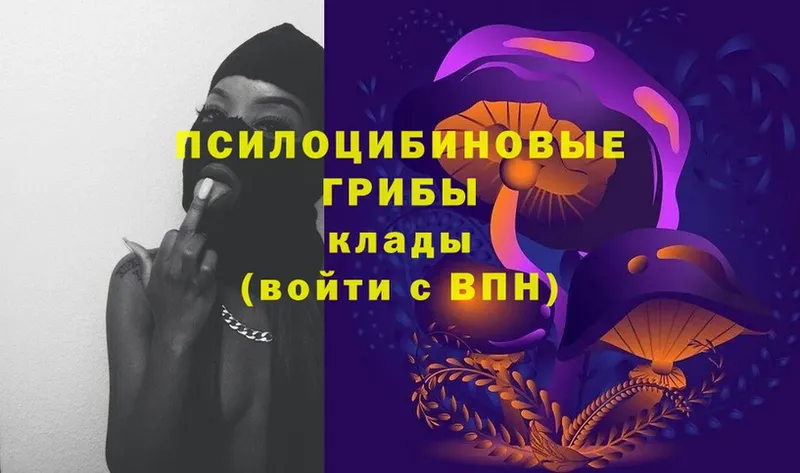 Псилоцибиновые грибы Psilocybe  МЕГА рабочий сайт  Алатырь 